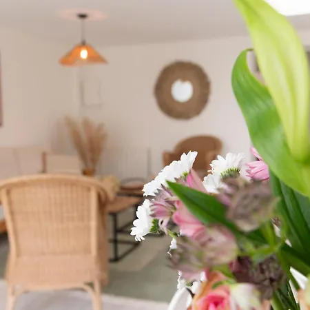 Apartment Les Cerisiers Rdc Lumineux, Jardin, Terrasse Baizieux