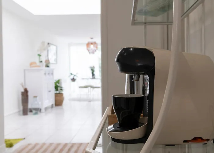 Apartment Les Cerisiers Rdc Lumineux, Jardin, Terrasse *