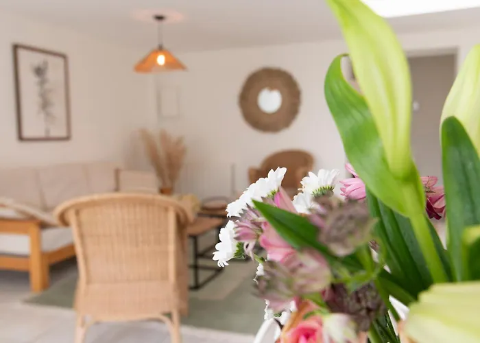 Apartment Les Cerisiers Rdc Lumineux, Jardin, Terrasse Baisieux